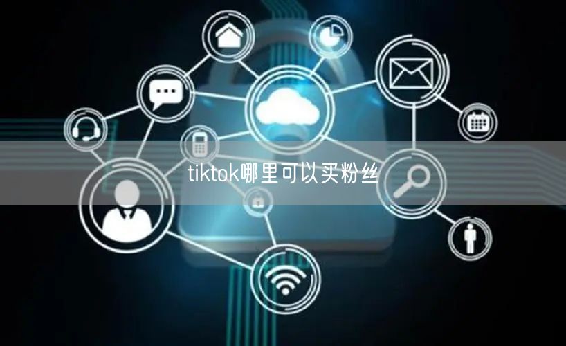 tiktok哪里可以买粉丝