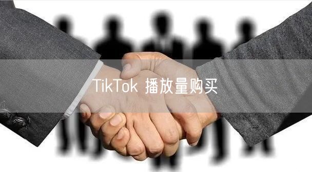 TikTok 播放量购买