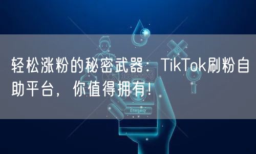 轻松涨粉的秘密武器：TikTok刷粉自助平台，你值得拥有！