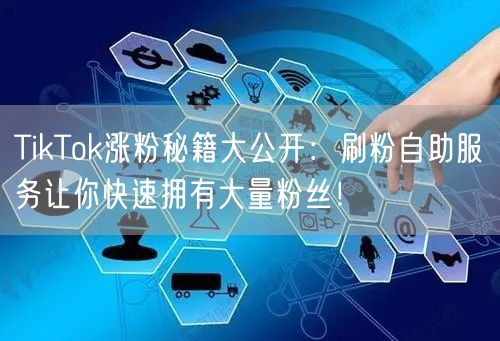 TikTok涨粉秘籍大公开：刷粉自助服务让你快速拥有大量粉丝！