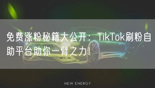 免费涨粉秘籍大公开：TikTok刷粉自助平台助你一臂之力！