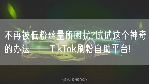 不再被低粉丝量所困扰?试试这个神奇的办法——TikTok刷粉自助平台!