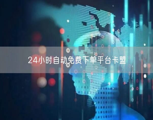 24小时自动免费下单平台卡盟