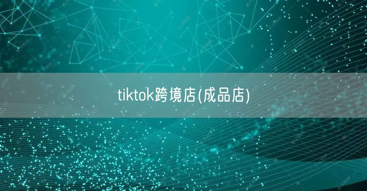 tiktok跨境店(成品店)