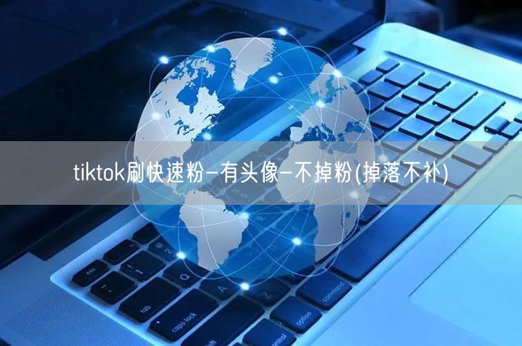 tiktok刷快速粉-有头像-不掉粉(掉落不补)