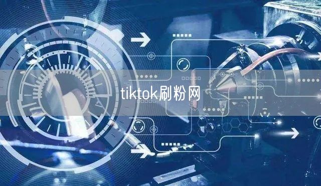 tiktok刷粉网