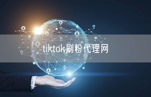 tiktok刷粉代理网