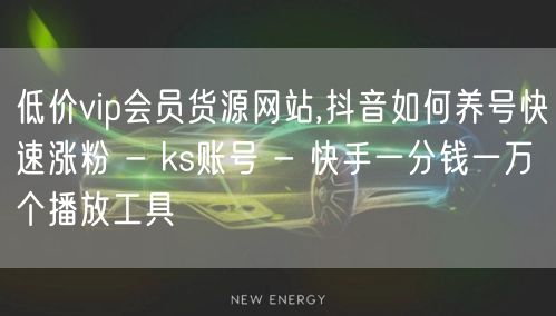 低价vip会员货源网站,抖音如何养号快速涨粉 - ks账号 - 快手一分钱一万个