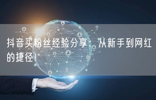 抖音买粉丝经验分享：从新手到网红的捷径！