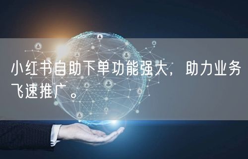 小红书自助下单功能强大，助力业务飞速推广。