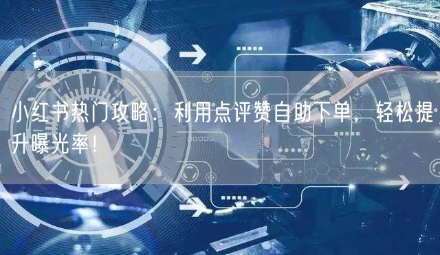 小红书热门攻略：利用点评赞自助下单，轻松提升曝光率！