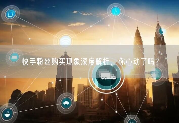快手粉丝购买现象深度解析，你心动了吗？