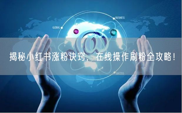 揭秘小红书涨粉诀窍，在线操作刷粉全攻略！