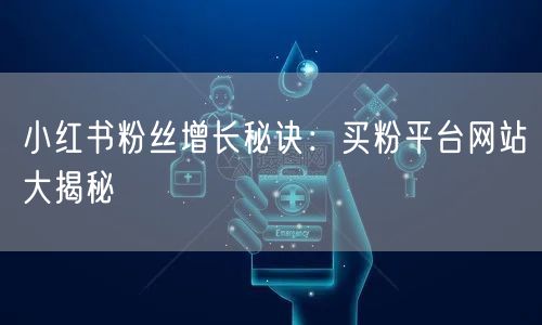 小红书粉丝增长秘诀：买粉平台网站大揭秘