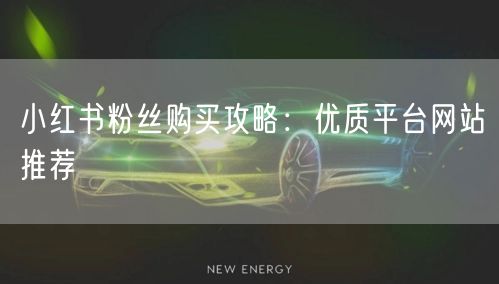 小红书粉丝购买攻略：优质平台网站推荐