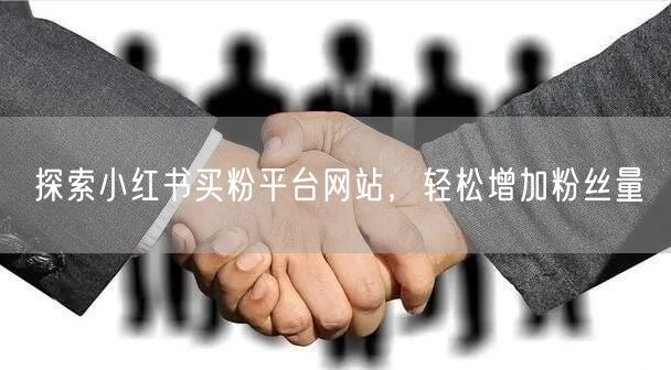 探索小红书买粉平台网站，轻松增加粉丝量