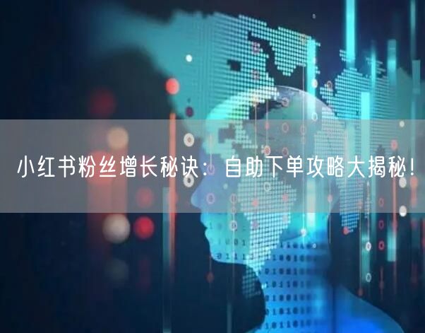 小红书粉丝增长秘诀：自助下单攻略大揭秘！