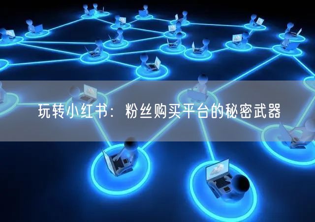 玩转小红书：粉丝购买平台的秘密武器