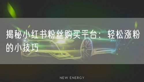 揭秘小红书粉丝购买平台：轻松涨粉的小技巧