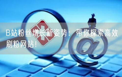 B站粉丝增长新姿势：带你探索高效刷粉网站！