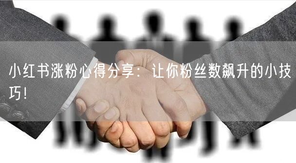 小红书涨粉心得分享：让你粉丝数飙升的小技巧！