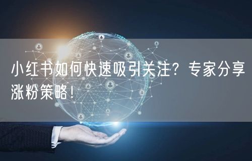 小红书如何快速吸引关注？专家分享涨粉策略！