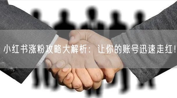 小红书涨粉攻略大解析：让你的账号迅速走红！