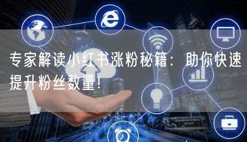 专家解读小红书涨粉秘籍：助你快速提升粉丝数量！