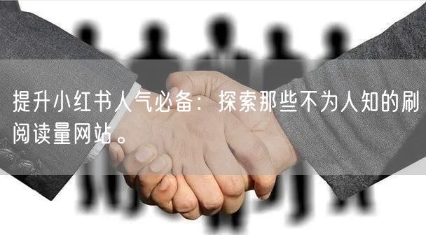 提升小红书人气必备：探索那些不为人知的刷阅读量网站。