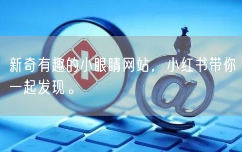 新奇有趣的小眼睛网站，小红书带你一起发现。