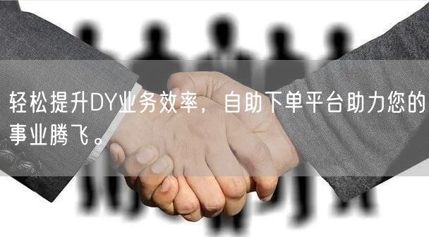 轻松提升DY业务效率，自助下单平台助力您的事业腾飞。