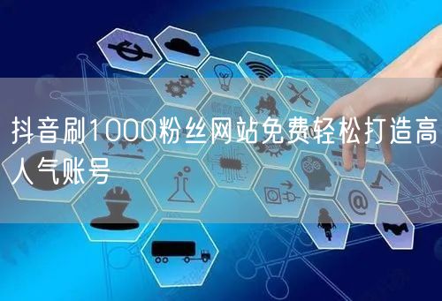 抖音刷1000粉丝网站免费轻松打造高人气账号