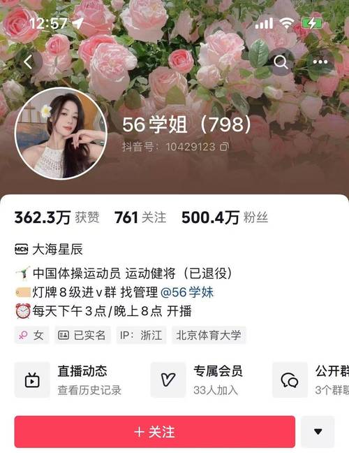 **标题：抖音账号人气飙升秘籍：自助平台助你成为抖音新星**